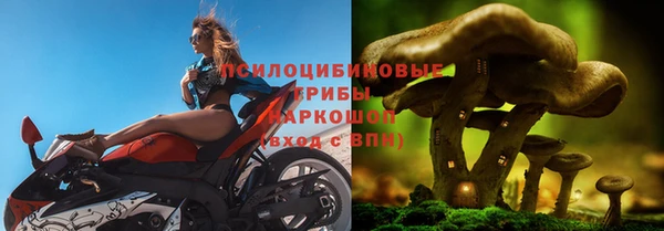 сатива Няндома
