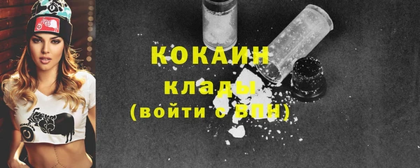 сатива Няндома