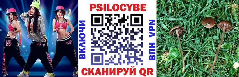 Псилоцибиновые грибы Magic Shrooms закладки Ладушкин